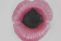 44-lippen-1-610x654-610x654