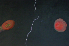 Kreise_2002_Frühe-Formen_215x92cm_vorhanden