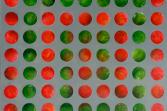 Kreise_2019_Duett-Rot-Grün_100x100cm_vorhanden