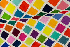 Strukturen_2017_Quadrat-Tulpenblatt_54x93cm_vorhanden