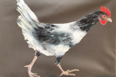 Projekte_2023_Hühner-Zyklus_Junger Hahn_2023_Acryl auf Baumwolle_41x30cm_vorhanden