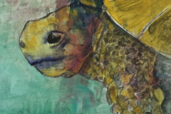 Projekte_2017_Schildkröten-Zyklus-1_30x34cm_vorhanden