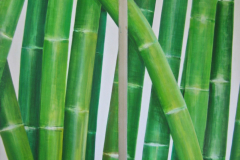Vegetative_Motive_2002_Bambus-Beziehung_2-x-52x152cm_verkauft