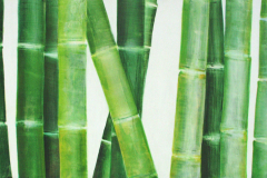 Vegetative_Motive_2003_Bambus-Dreiklang_160x90cm_verkauft