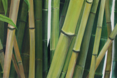Vegetative_Motive_2003_Bambus-Durchbruch_136x82cm_vorhanden
