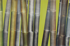 Vegetative_Motive_2003_Bambus-grau-vor-grün_130x80cm_vorhandn