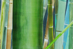 Vegetative_Motive_2003_Bambus-verzweigt_25x50cm_verkauft