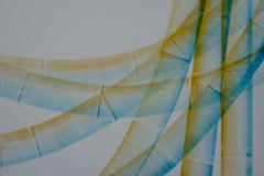 Vegetative_Motive_2004_Bambus-Aufschwung_80x55cm_vorhanden