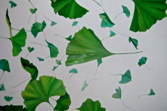 Vegetative_Motive_2006_Ginkgo_130x100cm_verkauft