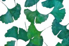 Vegetative_Motive_2006_Ginkgoblätter_33x77cm_vorhanden