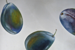 Vegetative_Motive_2010_Zwetschken_DIM_vorhanden